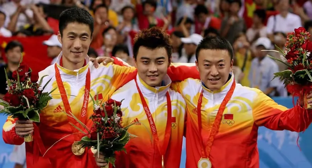 德国队力克中国队，马琳惊艳四座的简单介绍